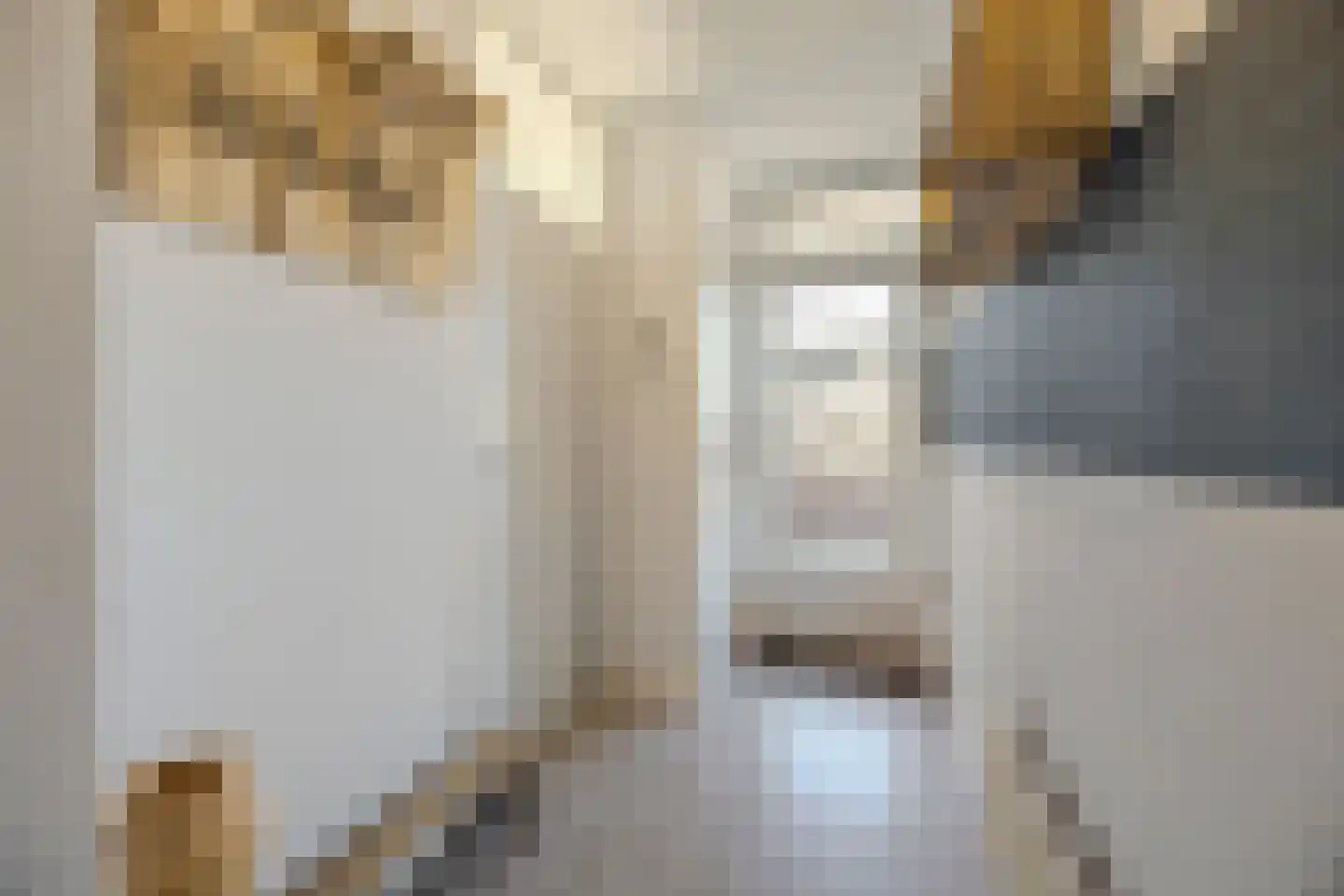 Nieuwe Kerkstraat 1 Zevenbergen thumbnail 9