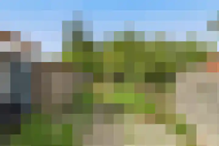 Nieuwe Kerkstraat 10 Sluiskil thumbnail 5