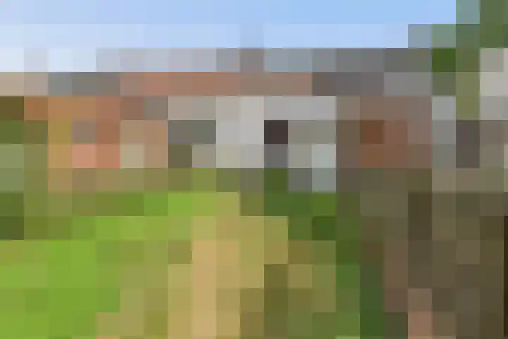 Nieuwe Kerkstraat 10 Sluiskil thumbnail 6