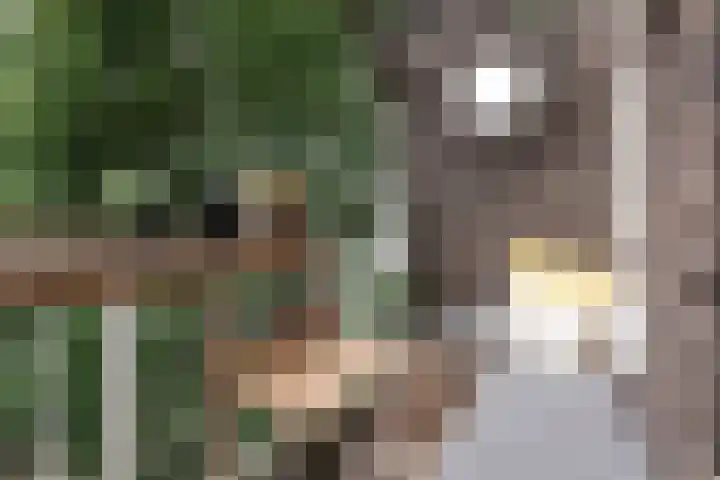 Nieuwe Kerkstraat 108 2 Amsterdam thumbnail 22