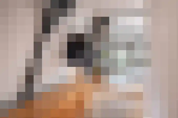 Nieuwe Kerkstraat 108 2 Amsterdam thumbnail 30