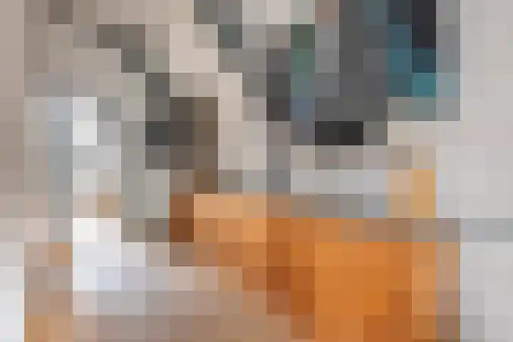 Nieuwe Kerkstraat 108 2 Amsterdam thumbnail 34