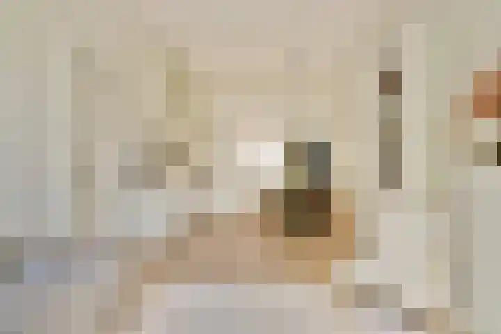 Nieuwe Kerkstraat 108 2 Amsterdam thumbnail 6