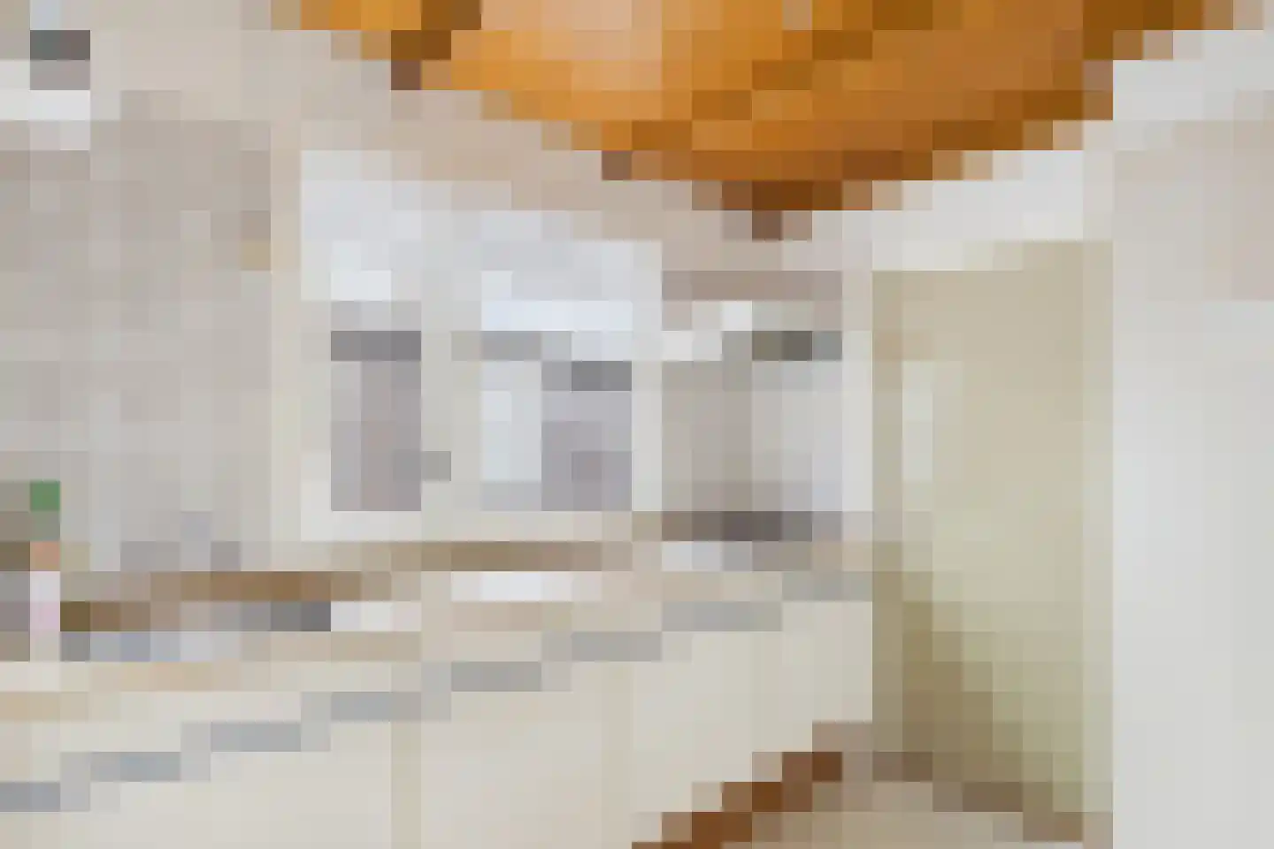 Nieuwe Kerkstraat 11 Sluiskil thumbnail 14