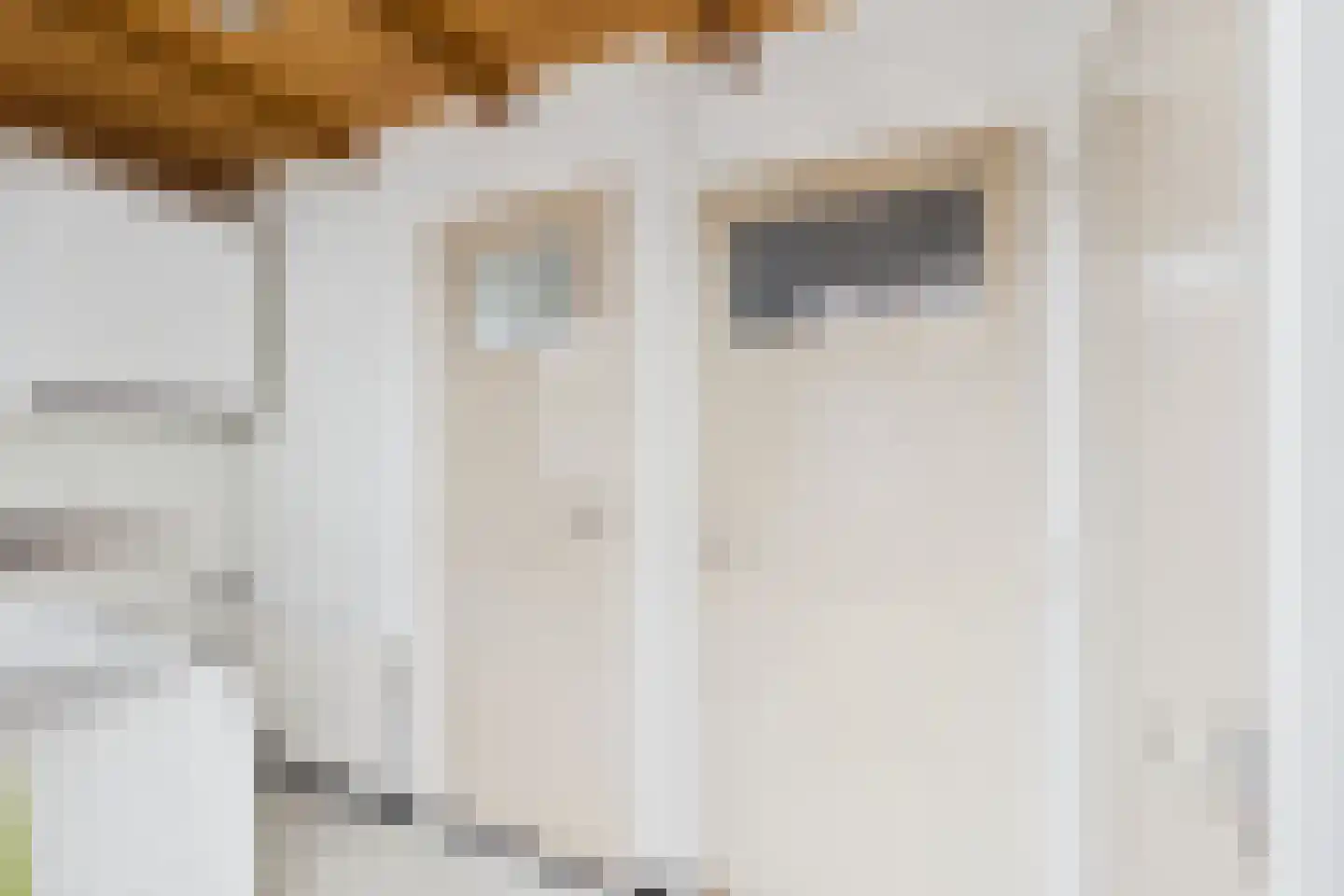 Nieuwe Kerkstraat 11 Sluiskil thumbnail 18