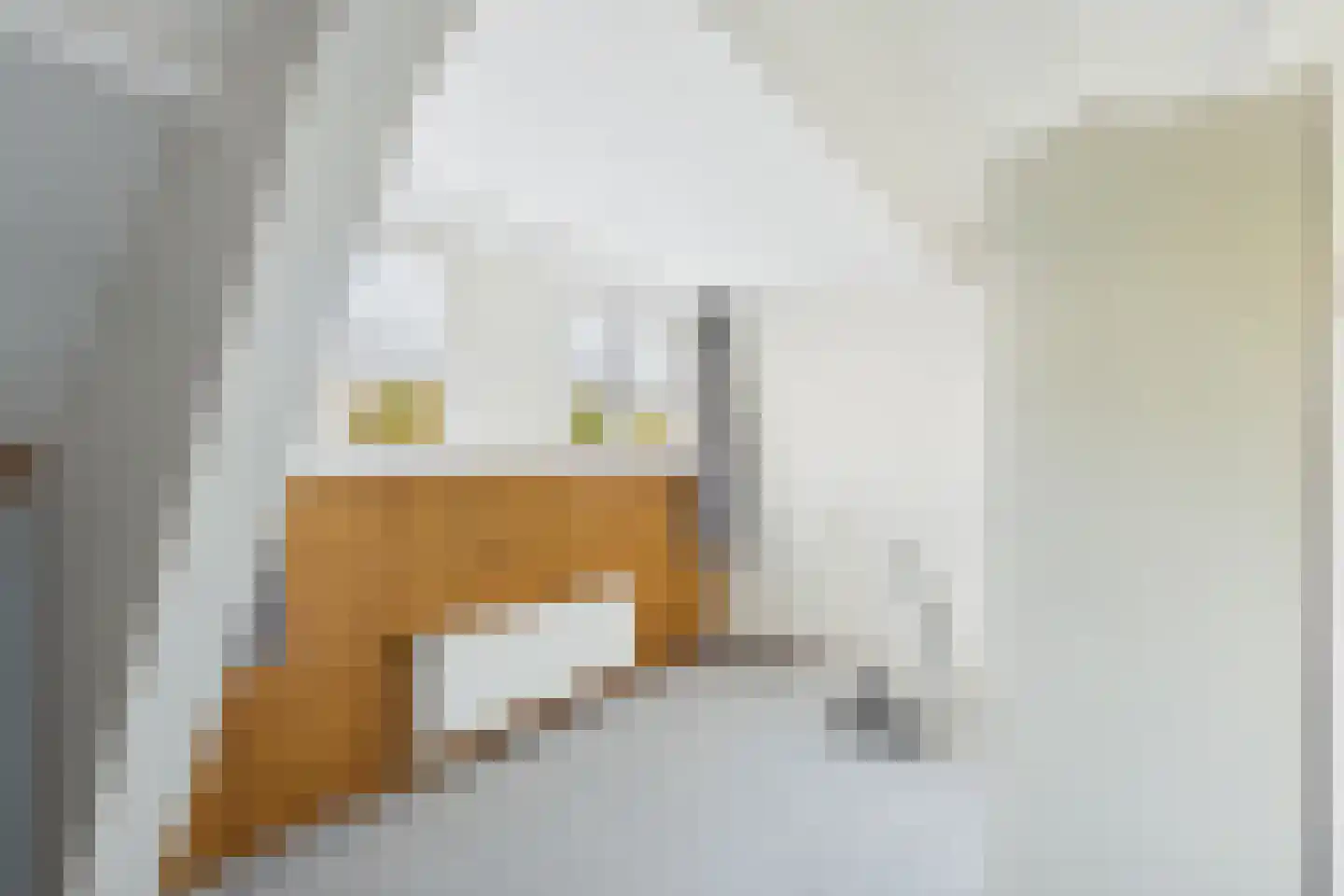 Nieuwe Kerkstraat 11 Sluiskil thumbnail 21