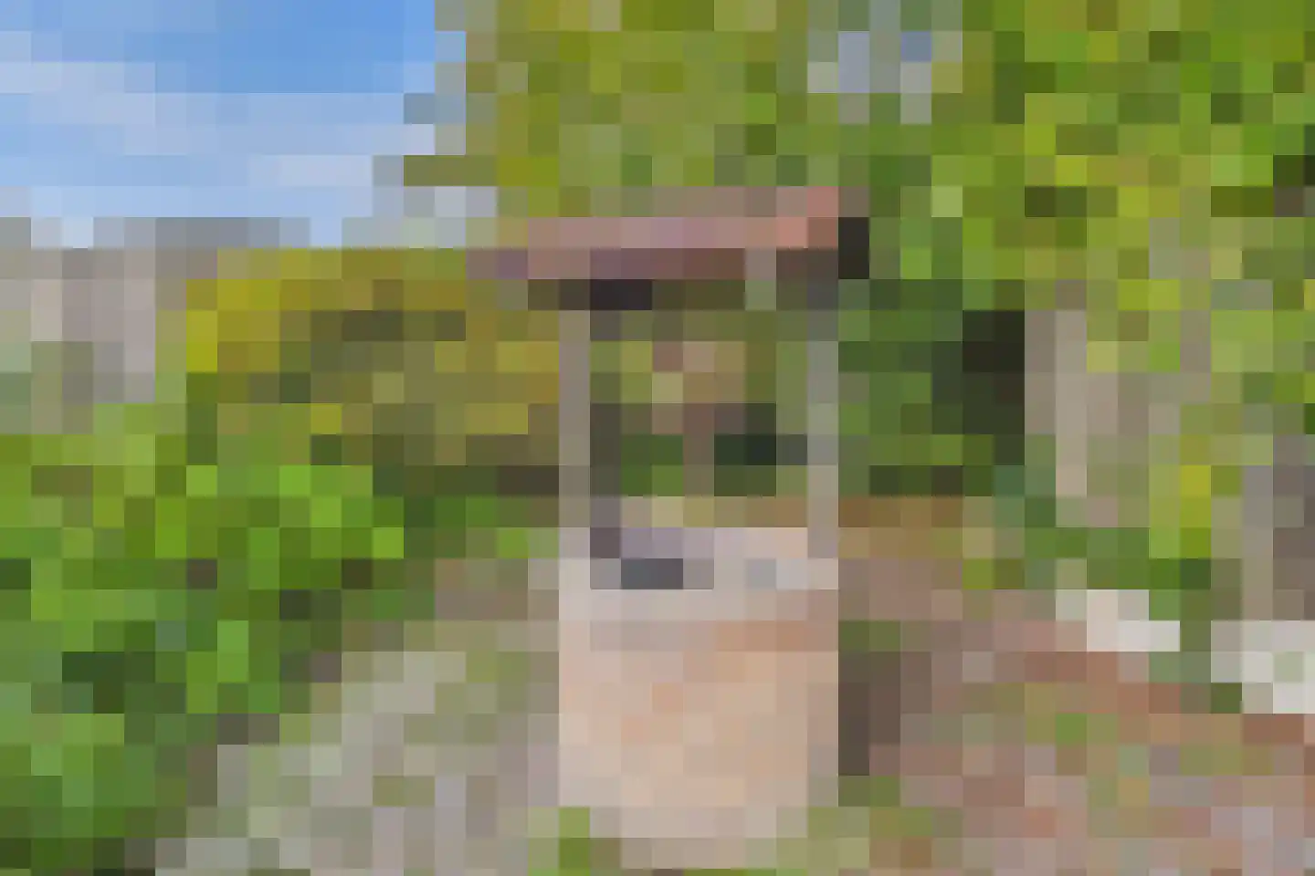 Nieuwe Kerkstraat 11 Sluiskil thumbnail 31