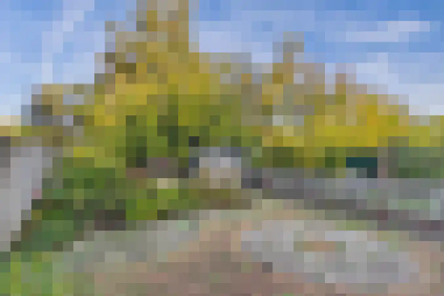 Nieuwe Kerkstraat 11 Sluiskil thumbnail 5