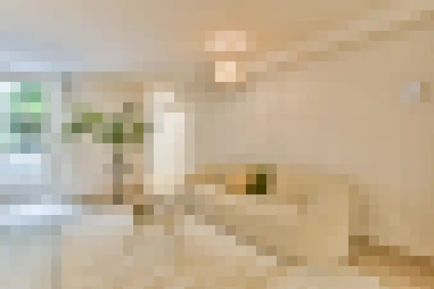 Nieuwe Kerkstraat 114 F Amsterdam thumbnail 15