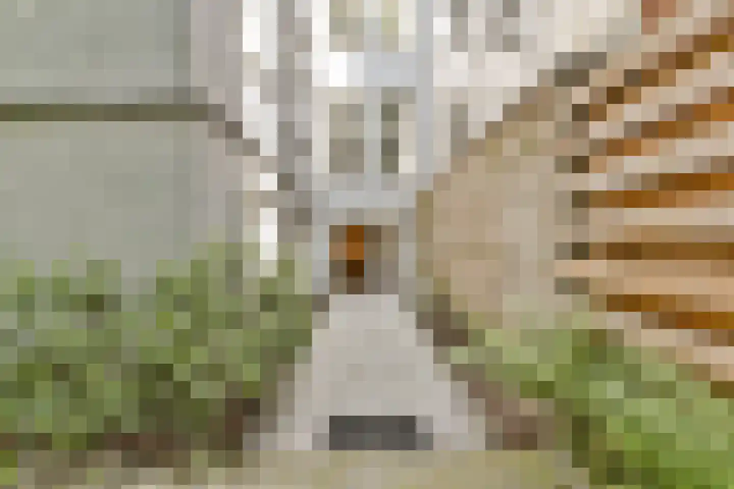 Nieuwe Kerkstraat 114 F Amsterdam thumbnail 6