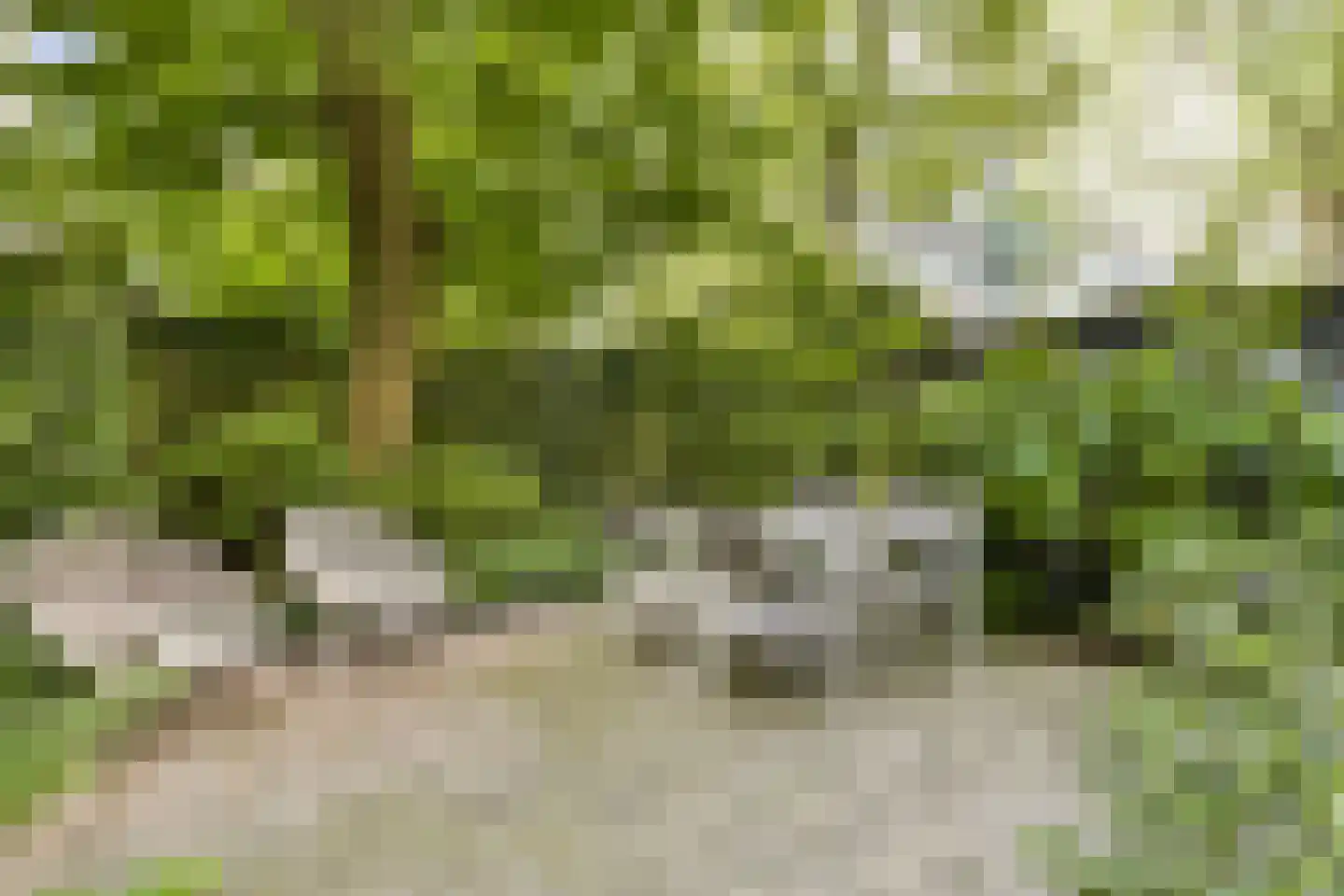 Nieuwe Kerkstraat 114 F Amsterdam thumbnail 7