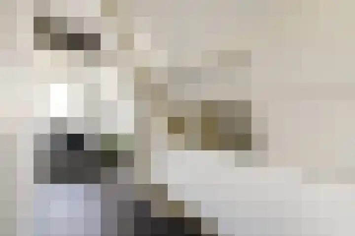 Nieuwe Kerkstraat 117 2 Amsterdam thumbnail 14