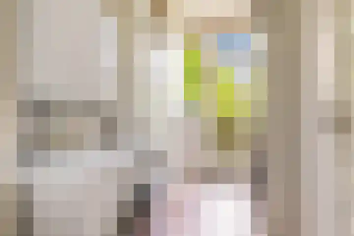 Nieuwe Kerkstraat 117 2 Amsterdam thumbnail 23