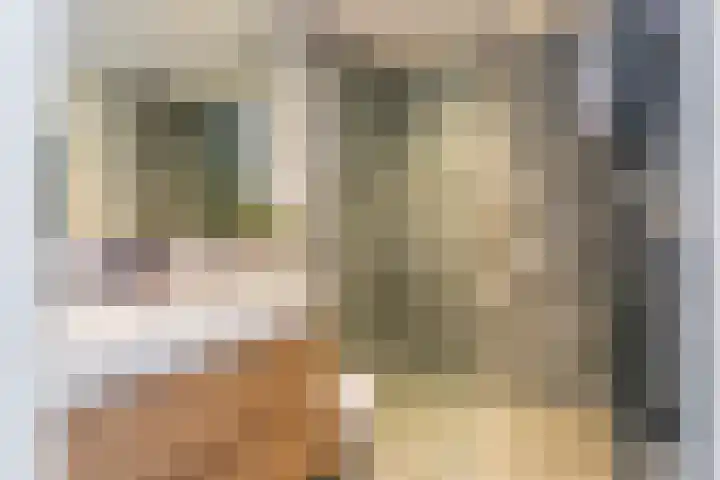 Nieuwe Kerkstraat 117 2 Amsterdam thumbnail 25