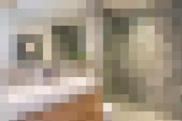 Nieuwe Kerkstraat 117 2 Amsterdam thumbnail 26