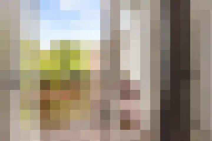 Nieuwe Kerkstraat 117 2 Amsterdam thumbnail 29