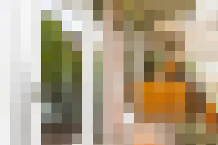 Nieuwe Kerkstraat 117 2 Amsterdam thumbnail 32