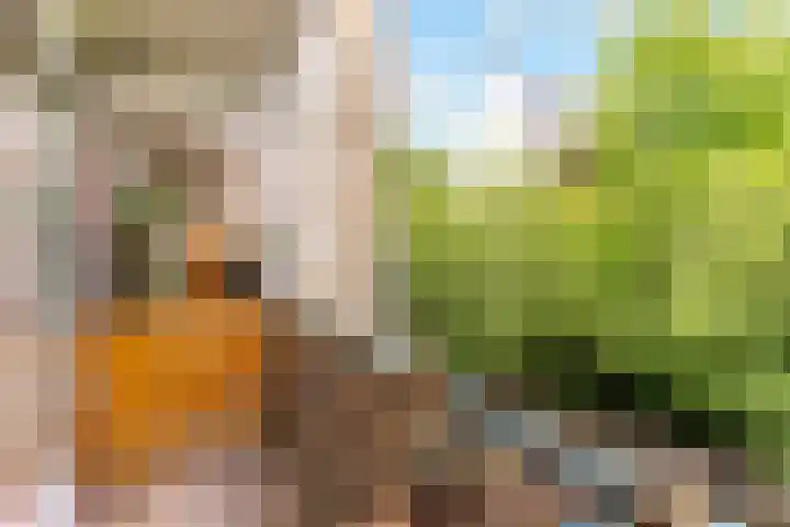 Nieuwe Kerkstraat 117 2 Amsterdam thumbnail 33