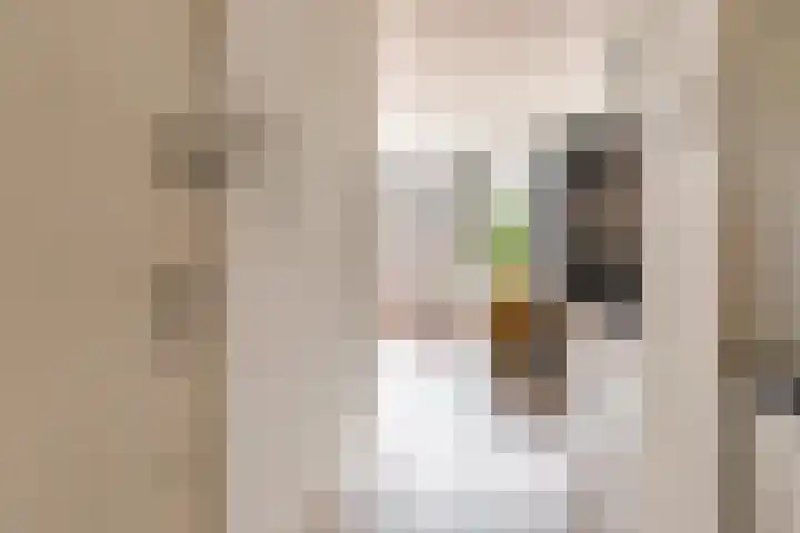 Nieuwe Kerkstraat 117 2 Amsterdam thumbnail 5