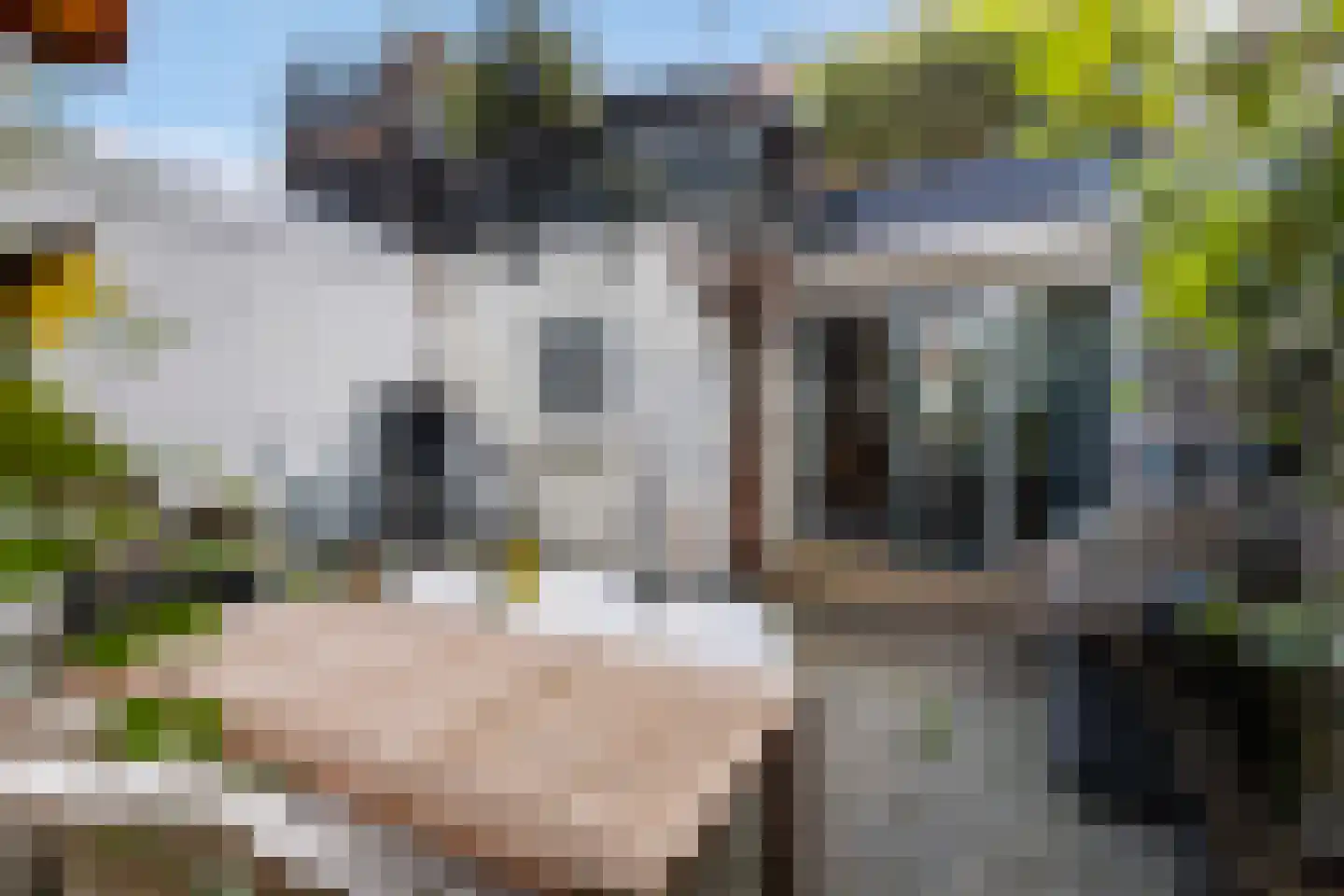 Nieuwe Kerkstraat 14 Rotterdam thumbnail 19