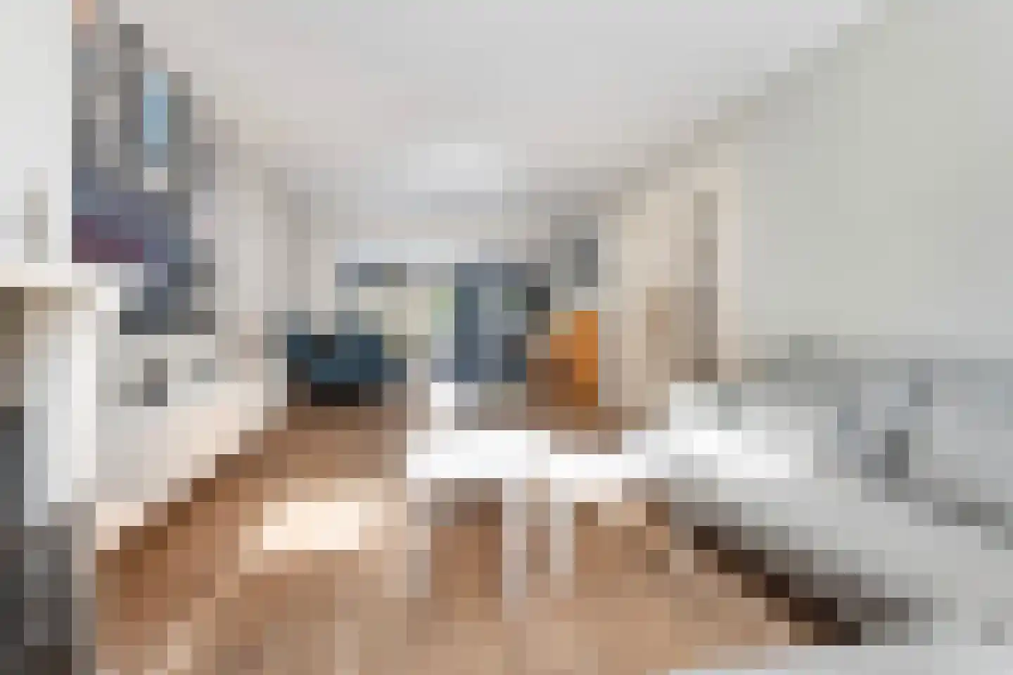 Nieuwe Kerkstraat 14 Rotterdam thumbnail 7