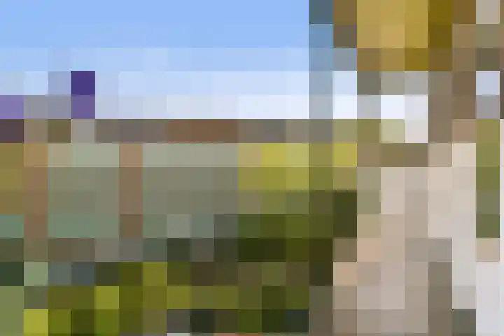 Nieuwe Kerkstraat 147 2 Amsterdam thumbnail 13