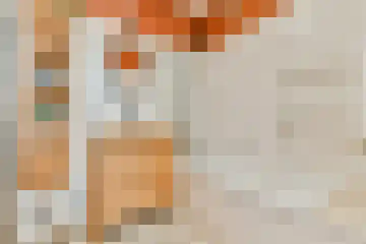 Nieuwe Kerkstraat 147 2 Amsterdam thumbnail 15