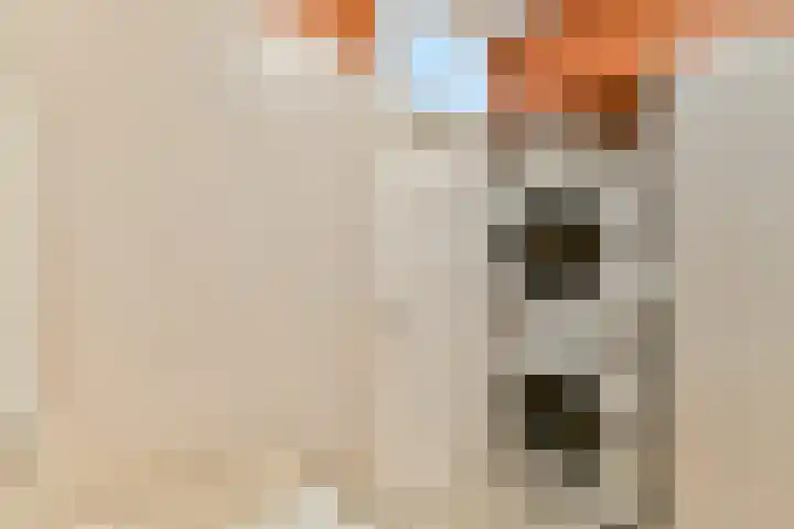 Nieuwe Kerkstraat 147 2 Amsterdam thumbnail 16