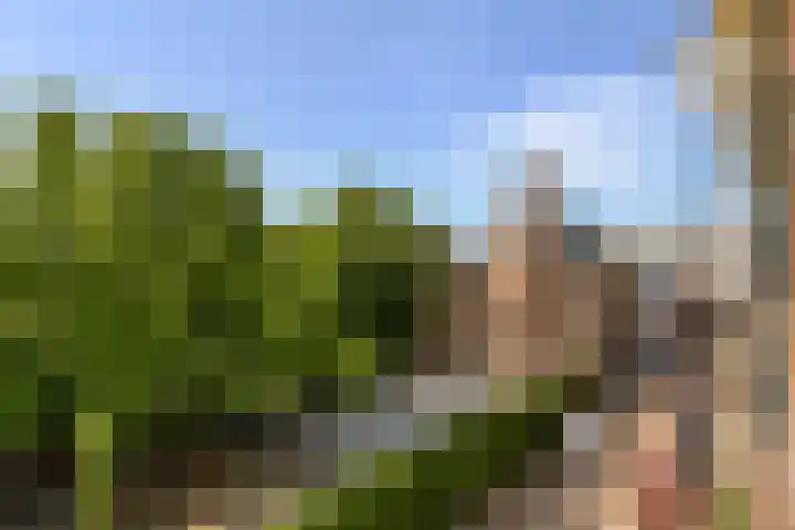 Nieuwe Kerkstraat 147 2 Amsterdam thumbnail 21