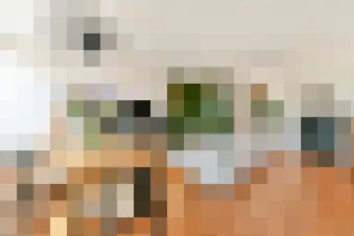 Nieuwe Kerkstraat 147 2 Amsterdam thumbnail 6