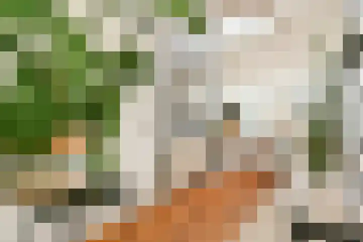 Nieuwe Kerkstraat 147 2 Amsterdam thumbnail 8