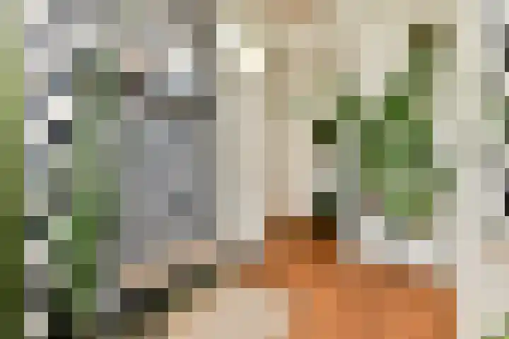 Nieuwe Kerkstraat 147 2 Amsterdam thumbnail 9