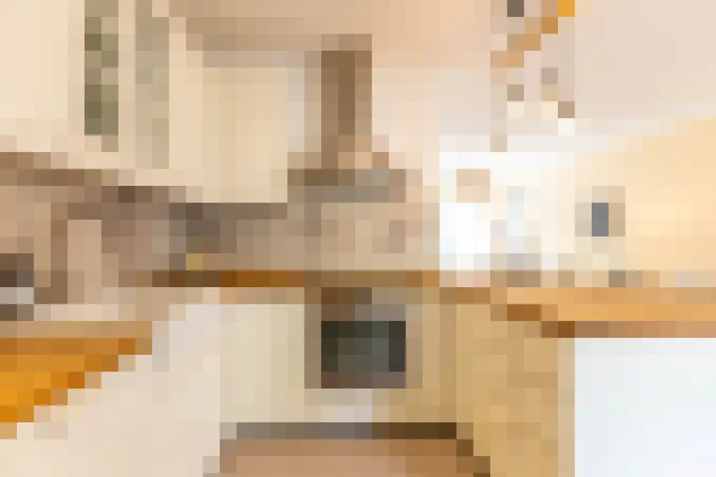 Nieuwe Kerkstraat 18 Rotterdam thumbnail 12