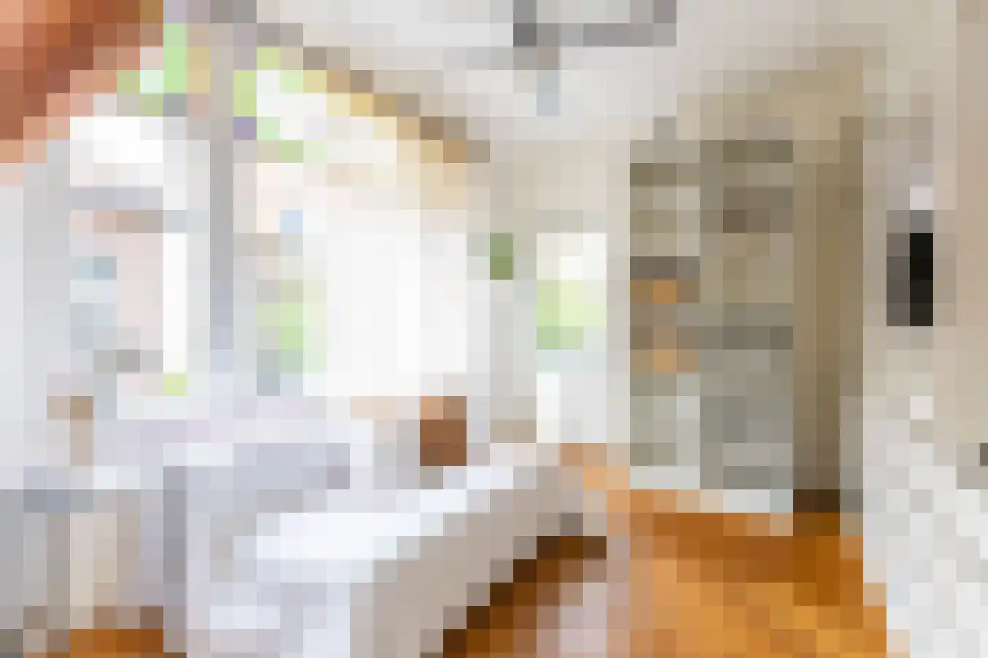 Nieuwe Kerkstraat 18 Rotterdam thumbnail 25