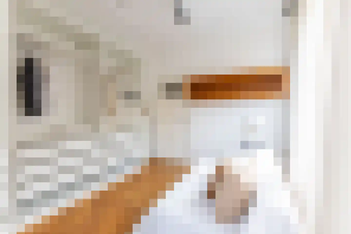 Nieuwe Kerkstraat 18 Rotterdam thumbnail 26