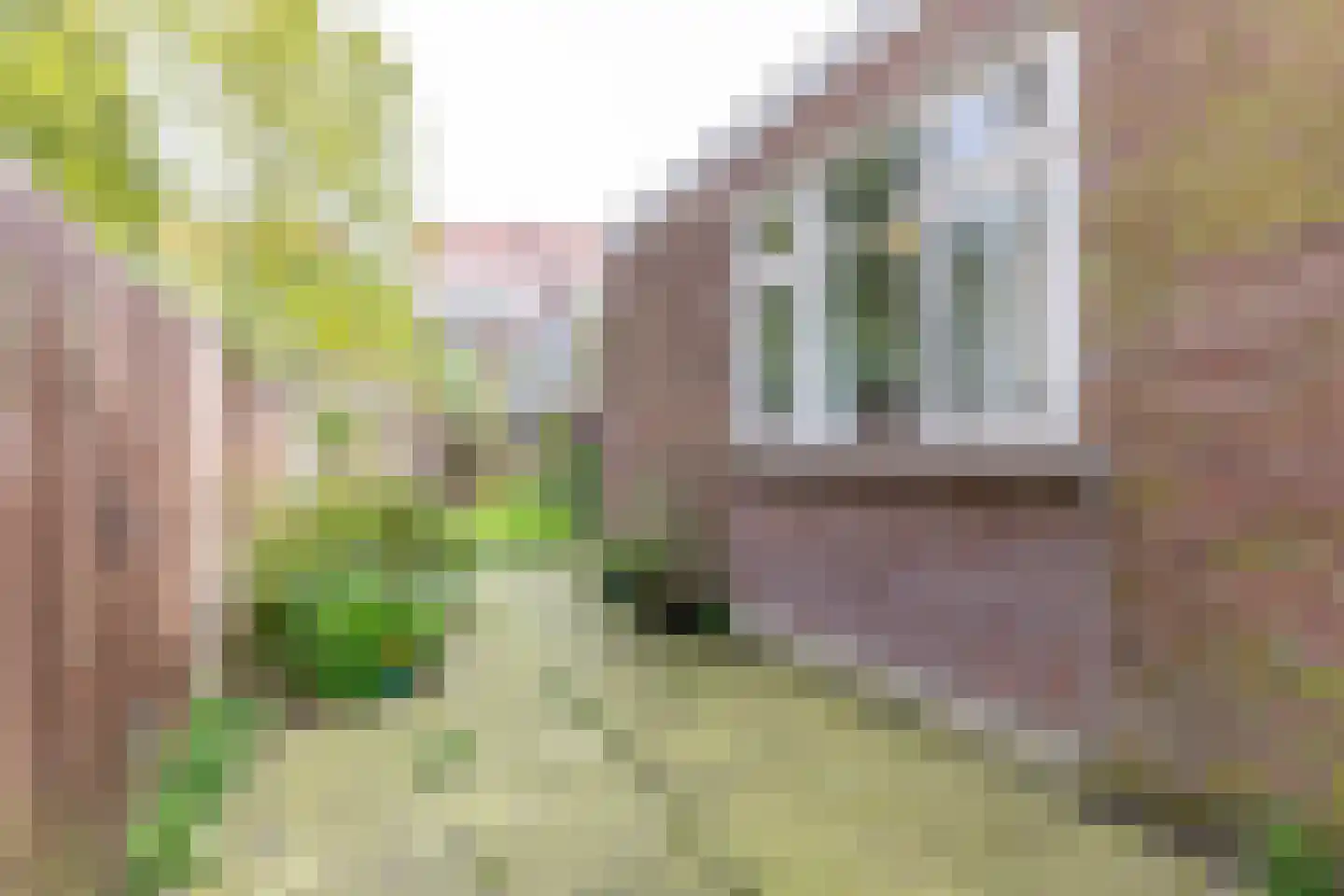 Nieuwe Kerkstraat 18 Rotterdam thumbnail 36
