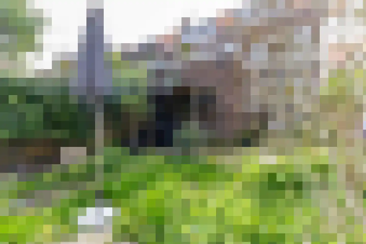 Nieuwe Kerkstraat 18 Rotterdam thumbnail 37