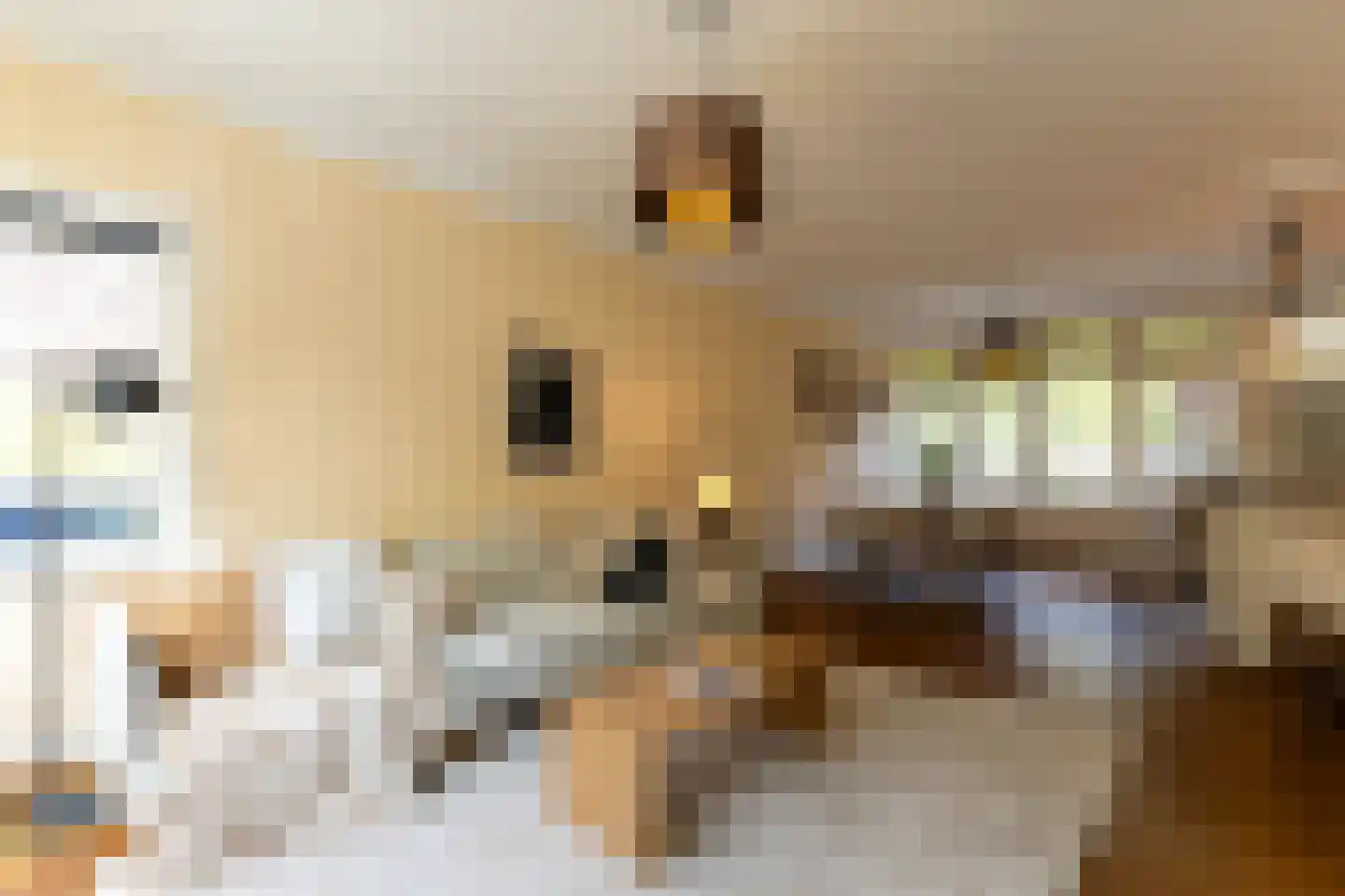 Nieuwe Kerkstraat 18 Rotterdam thumbnail 7