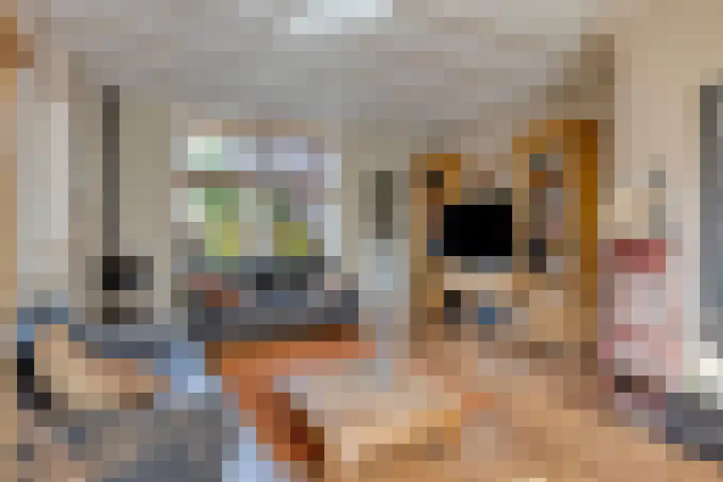 Nieuwe Kerkstraat 2 Yerseke thumbnail 10