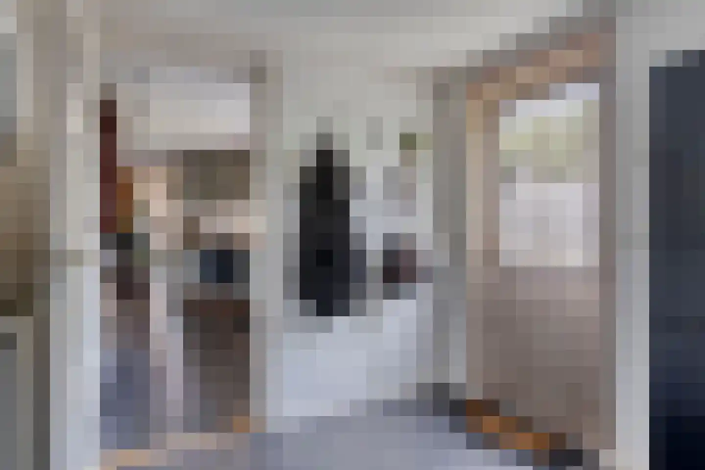 Nieuwe Kerkstraat 2 Yerseke thumbnail 19