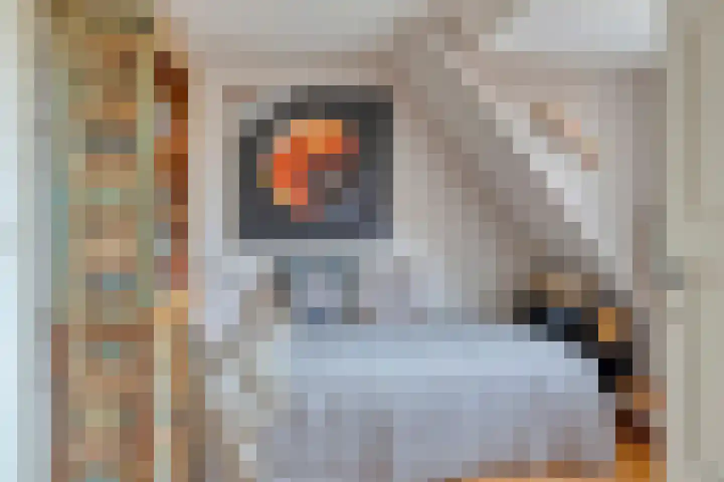Nieuwe Kerkstraat 2 Yerseke thumbnail 23