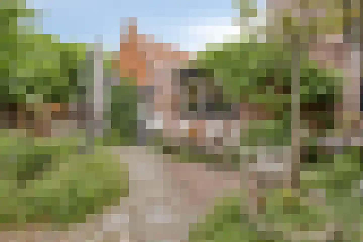 Nieuwe Kerkstraat 2 Yerseke thumbnail 25