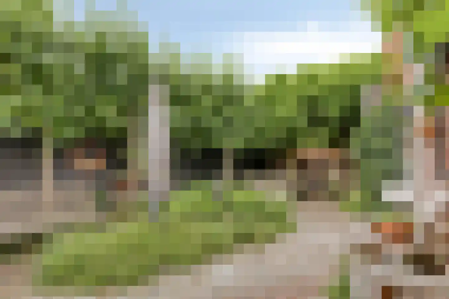 Nieuwe Kerkstraat 2 Yerseke thumbnail 26