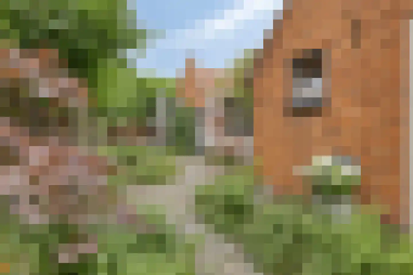 Nieuwe Kerkstraat 2 Yerseke thumbnail 7