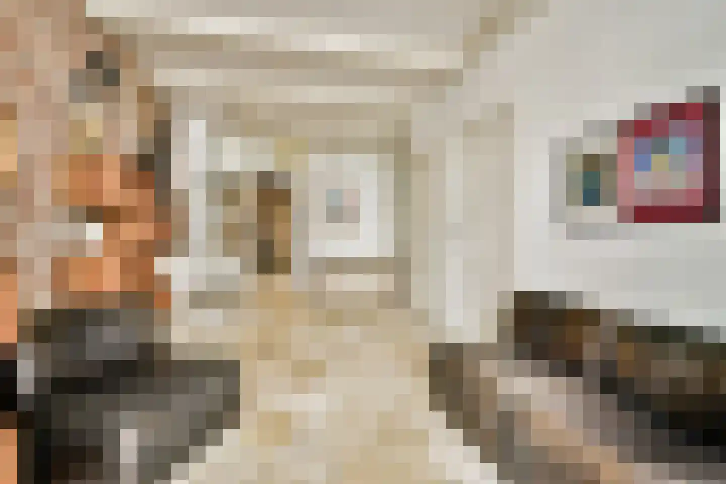 Nieuwe Kerkstraat 20 Amsterdam thumbnail 11