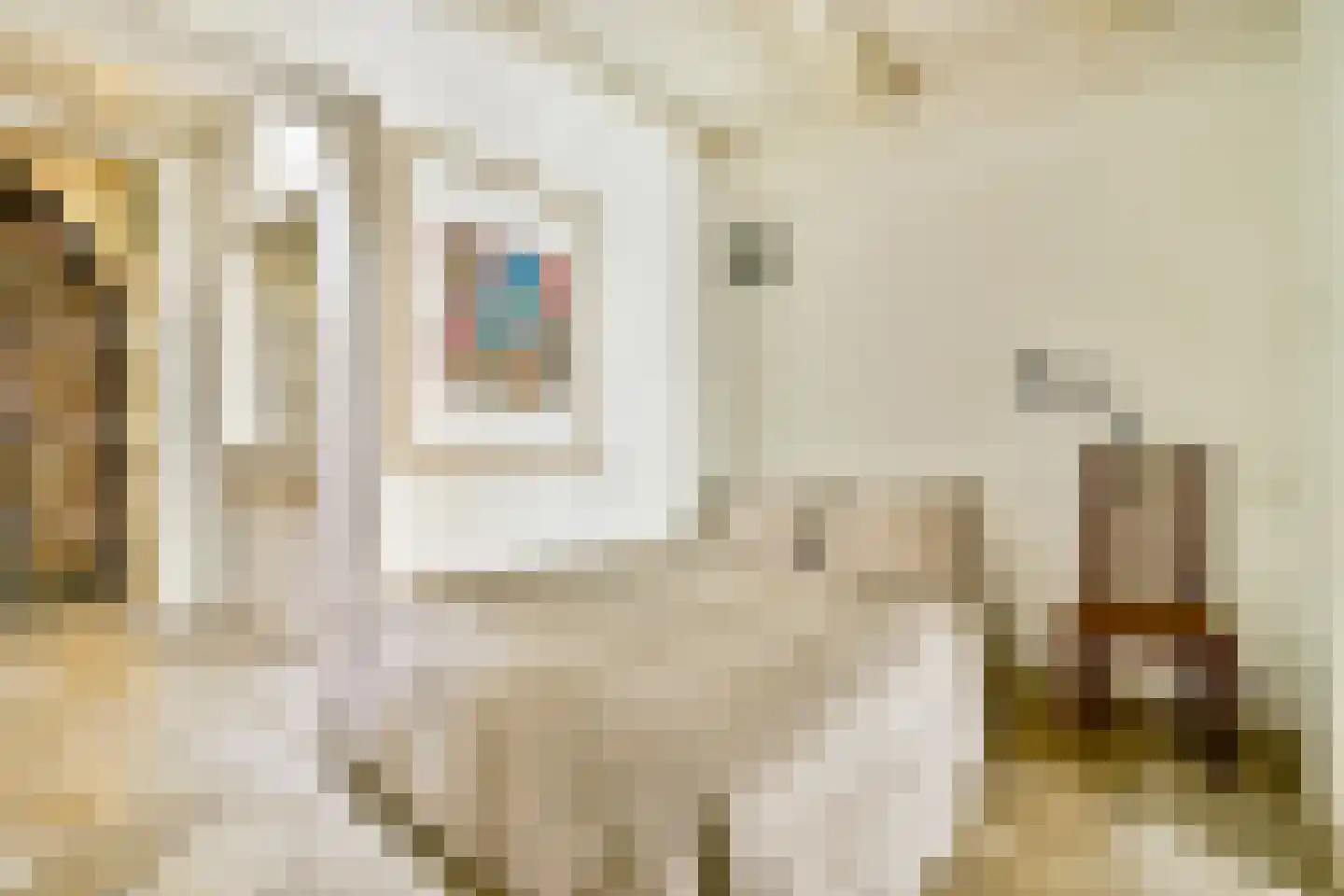 Nieuwe Kerkstraat 20 Amsterdam thumbnail 12