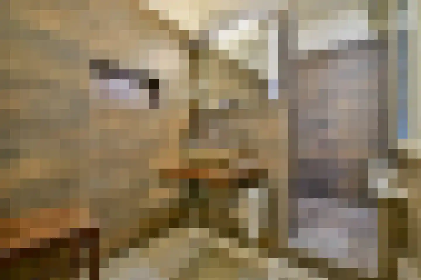 Nieuwe Kerkstraat 20 Amsterdam thumbnail 13