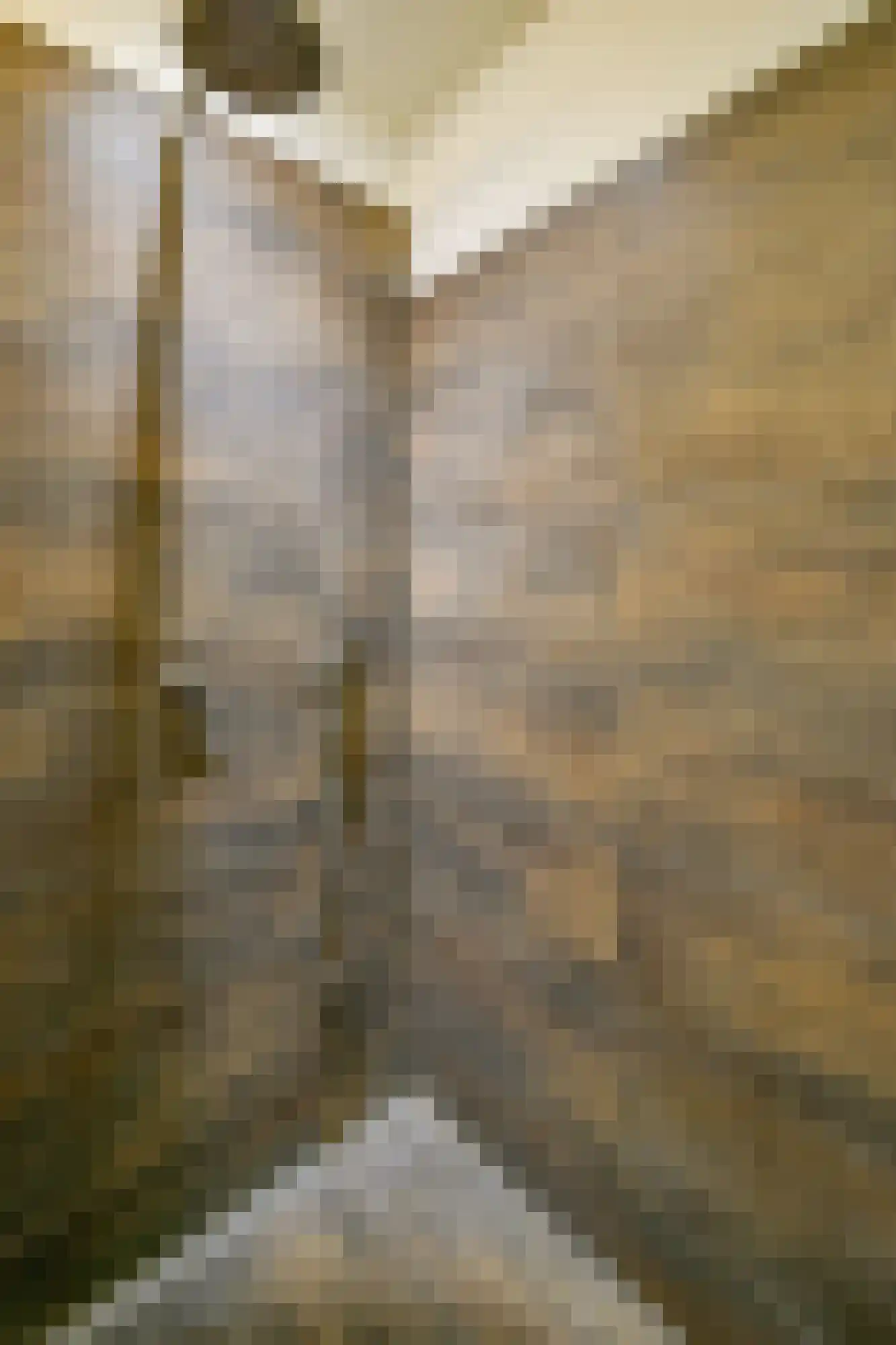 Nieuwe Kerkstraat 20 Amsterdam thumbnail 14