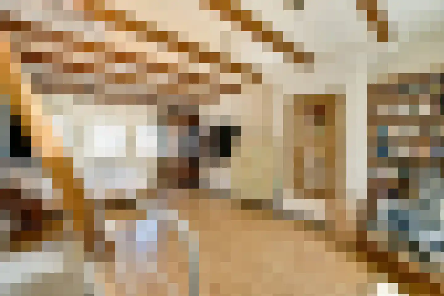 Nieuwe Kerkstraat 20 Amsterdam thumbnail 21