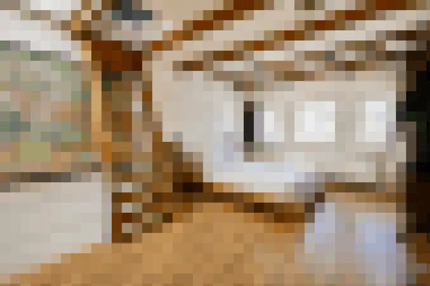 Nieuwe Kerkstraat 20 Amsterdam thumbnail 22